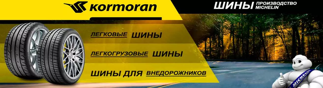 Kormoran